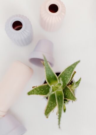 aloe-vera-tiktok-mitos el zumo de aloe vera en tiktok