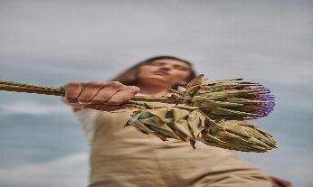 alcachofa el ingrediente para la ligereza