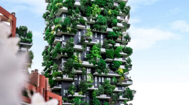 bosque-vertical