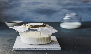 alimentos-fermentados