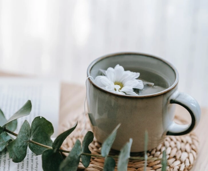 infusiones-dormir-bien