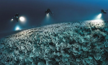 Fondo del mar