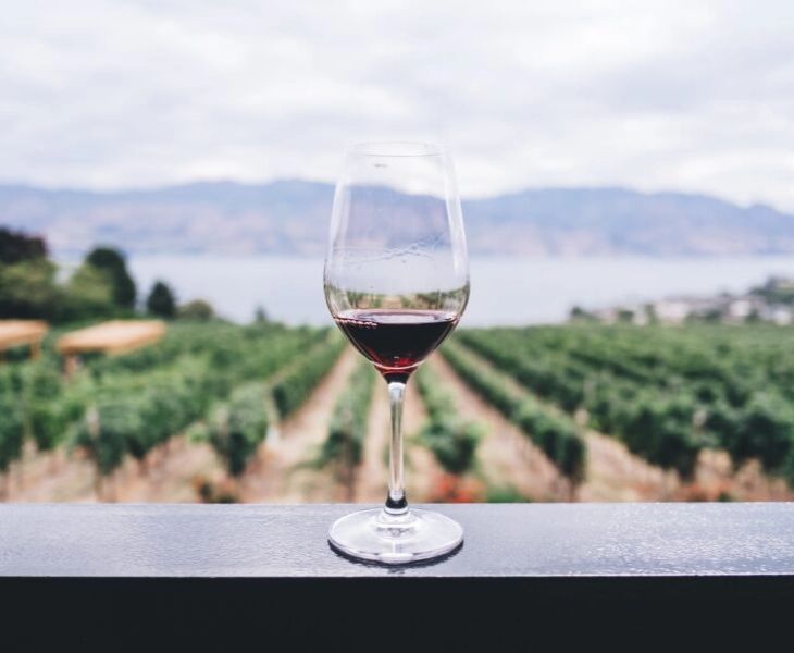 vino