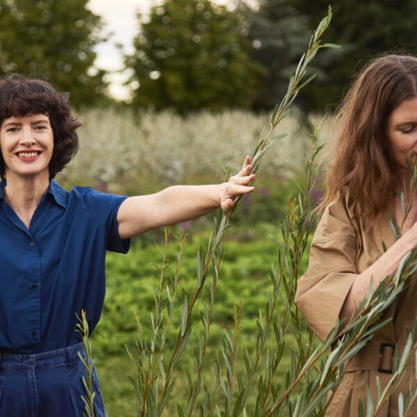 Dos mujeres, de mediana edad, recogiendo genciana azul, una planta que activa la síntesis de colágeno.