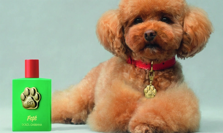Fefé perfume para perros Dolce&Gabbana