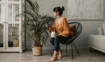 Las plantas de interior mejoran el equilibrio emocional