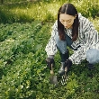 Cómo cultivar un huerto jardín con verduras, hortalizas, frutas, legumbres, aromáticas y tubérculos.
