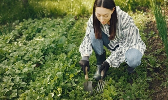 Cómo cultivar un huerto jardín con verduras, hortalizas, frutas, legumbres, aromáticas y tubérculos.