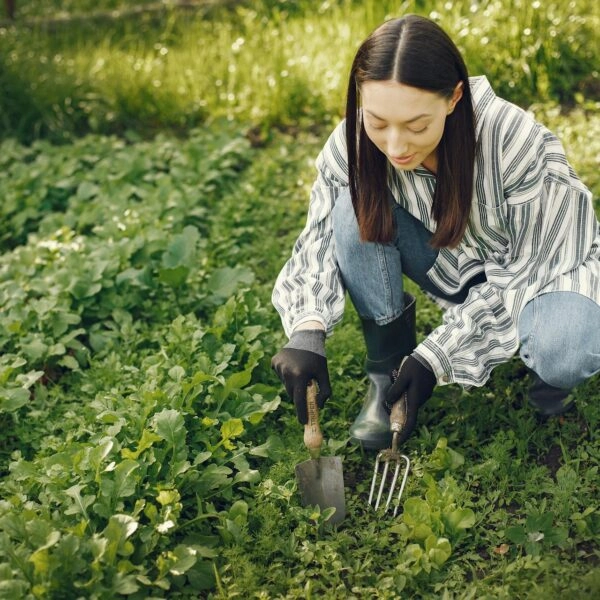 Cómo cultivar un huerto jardín con verduras, hortalizas, frutas, legumbres, aromáticas y tubérculos.