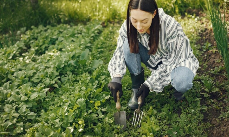 Cómo cultivar un huerto jardín con verduras, hortalizas, frutas, legumbres, aromáticas y tubérculos.