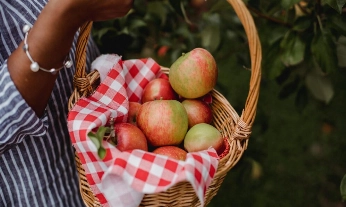 manzana-roja-fruta-otoño Frutas otono nutrientes