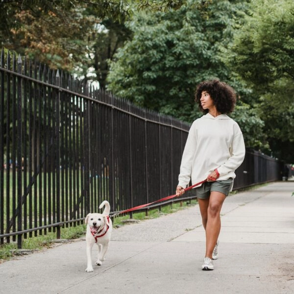 Subir escaleras, realizar unos esprints, saltar a la cuerda o pasear al perro son ejercicios snacks