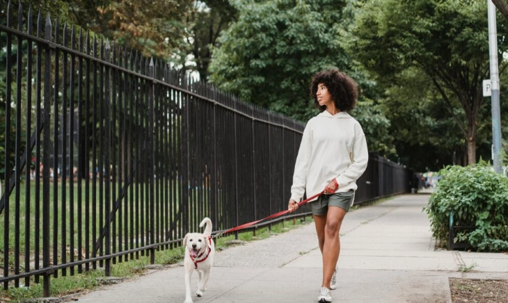 Subir escaleras, realizar unos esprints, saltar a la cuerda o pasear al perro son ejercicios snacks