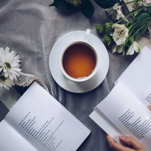 Crear nuevas conexiones neuronales