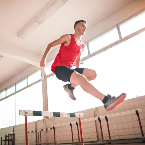 Sirtuinas longevidad