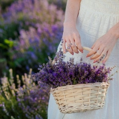 ¿Qué mecanismos neurológicos se activan cuando te perfumas? FOTO: Pexels.
