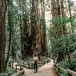 Joven paseando por un bosque para aliviar la falta de atención y despejar la mente