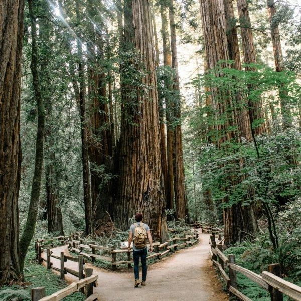 Joven paseando por un bosque para aliviar la falta de atención y despejar la mente