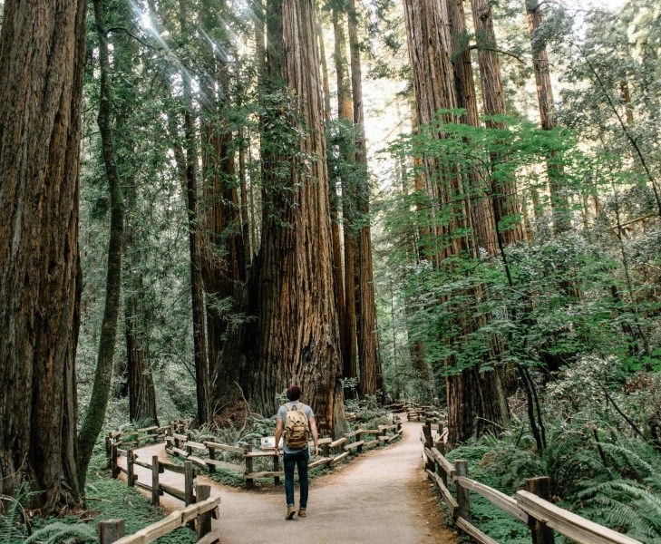falta atención Joven paseando por un bosque para aliviar la falta de atención y despejar la mente