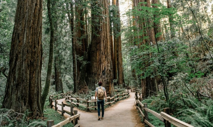 Joven paseando por un bosque para aliviar la falta de atención y despejar la mente