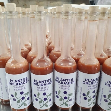 Vinagreta de endrinos, un guiño sorprendente para alegrar tus ensaladas. FOTO: Plantas Olvidadas. 