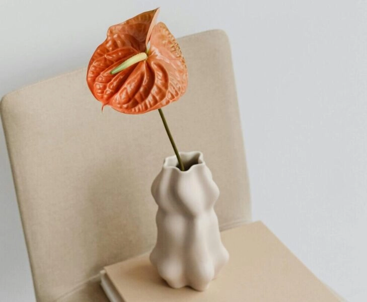 Masturbacion-menopausia Beneficios de la masturbación en la menopausia.