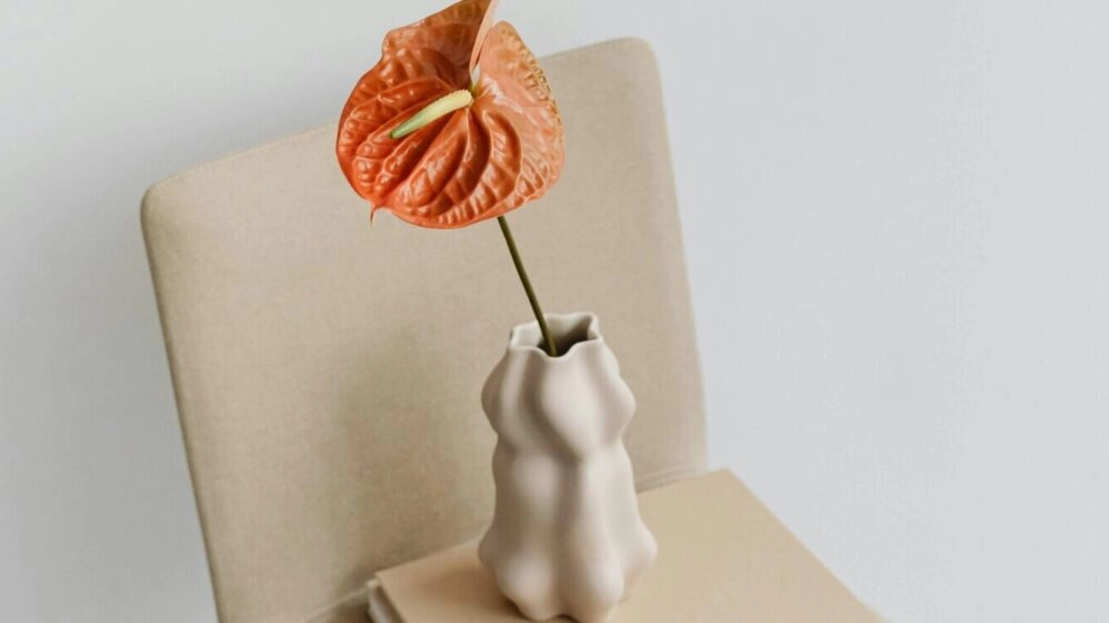 Beneficios de la masturbación en la menopausia.