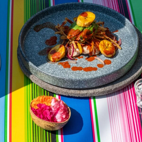 El secreto está en la fusión de los mejor de la tradición culinaria mexicana con nuestra huerta y el aceite de oliva. FOTO: Israel Torres (Pexels).