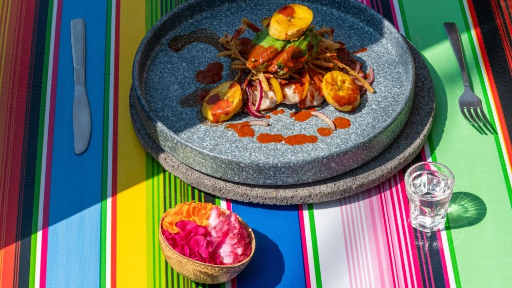 El secreto está en la fusión de los mejor de la tradición culinaria mexicana con nuestra huerta y el aceite de oliva.
